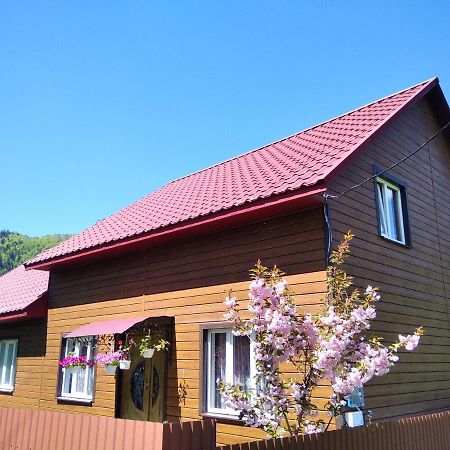 Відпочинок У Карпатах, Мінеральні Ванни, Банний Чан! Guest House Verkhnyaya Bystra Exterior photo