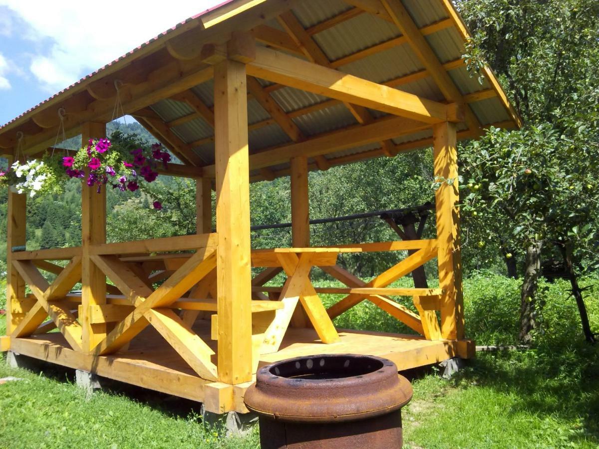 Відпочинок У Карпатах, Мінеральні Ванни, Банний Чан! Guest House Verkhnyaya Bystra Exterior photo