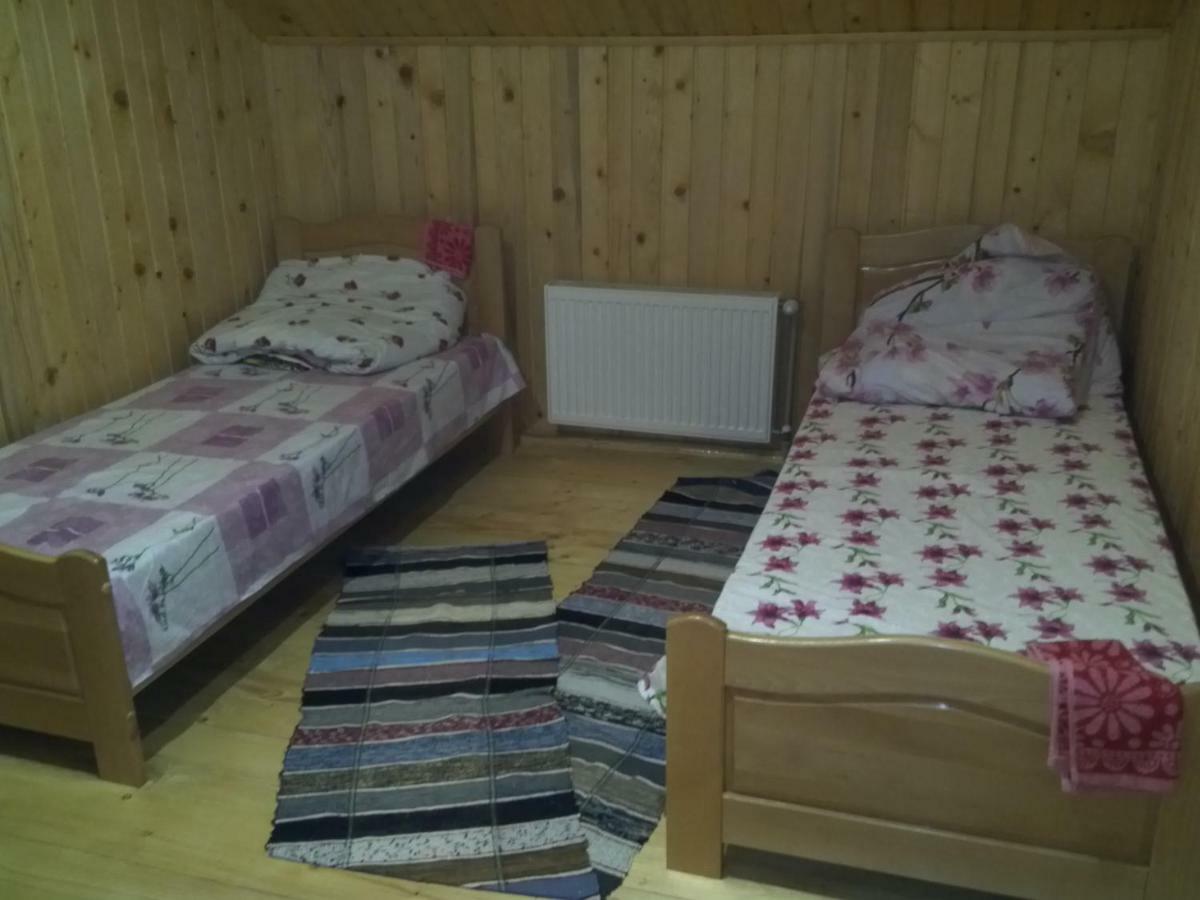 Відпочинок У Карпатах, Мінеральні Ванни, Банний Чан! Guest House Verkhnyaya Bystra Exterior photo